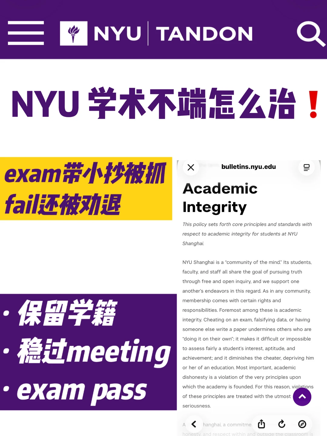 NYU学术不端meeting,嘴硬最伤学籍 · 封面图片