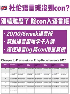 杜伦LLM语言差0.5可谈