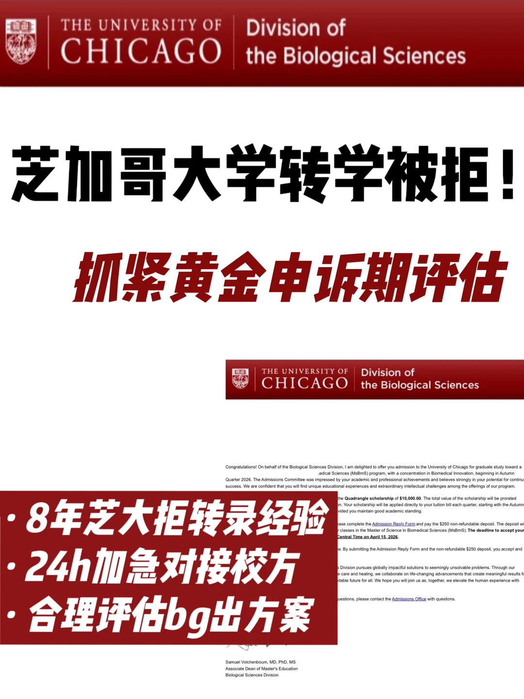芝大转学拒模板式聪明人 · 图文图片