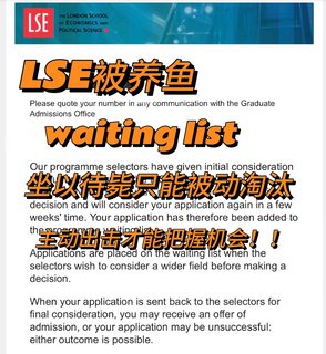 lse被养鱼，argue争取到了转正机会！！
