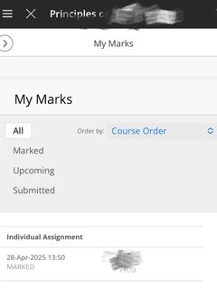 布里斯托化学final出分，28分remark到30分