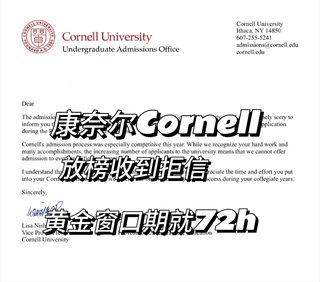 Cornell拒信，学院逻辑没落地