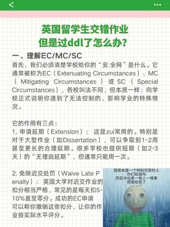 英国留学生交错作业，但是过ddl了怎么办？
