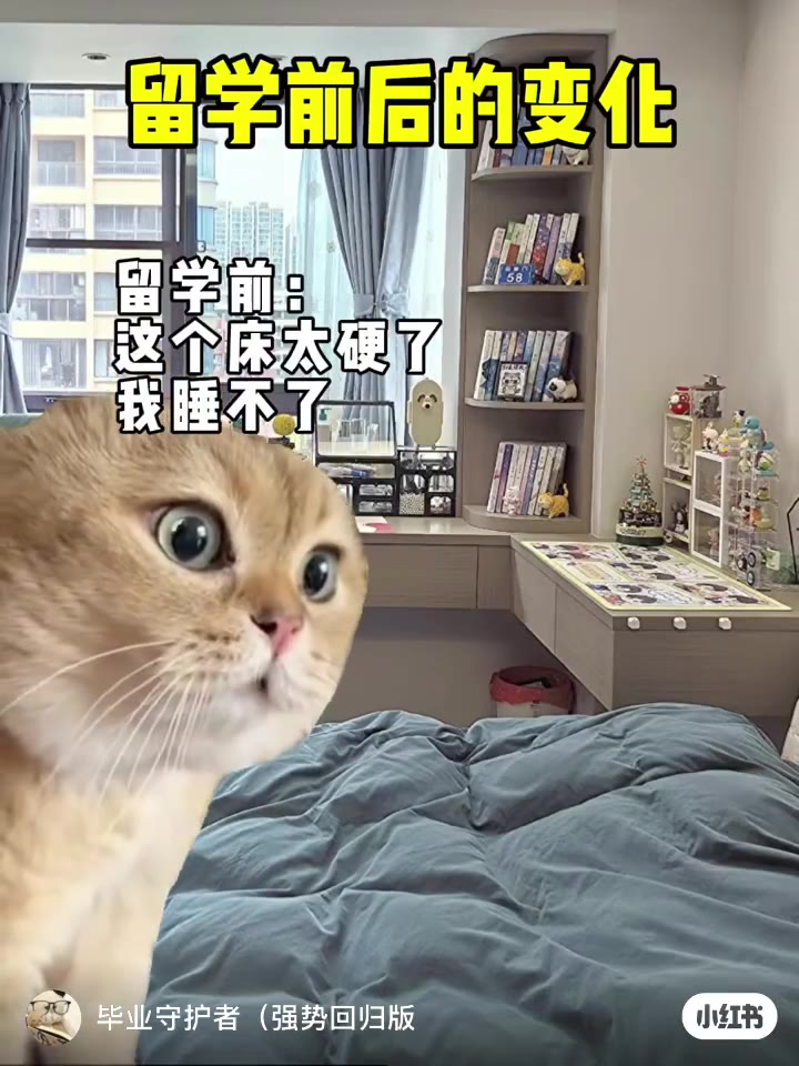 留学前后变化太大了‼️建议留学…_