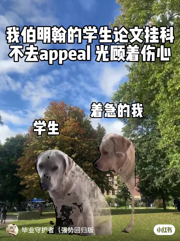 伯明翰论文挂科的宝先别悲伤了！！快去appeal