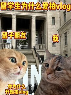 留学生为什么爱拍vlog？