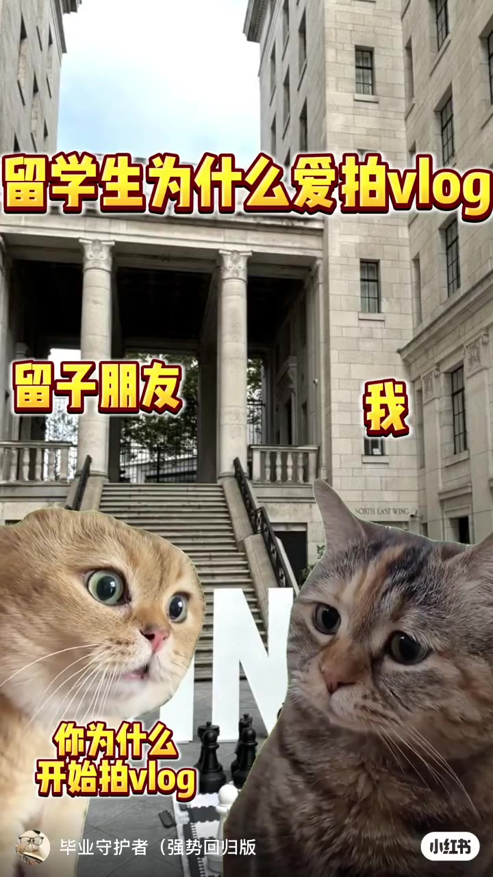 留学生为什么爱拍vlog？