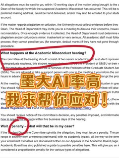 墨尔本大学作业AI率高，但已经交上去了...