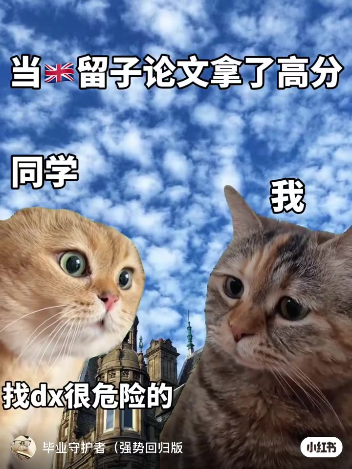 🇬🇧论文80+原来也不难！