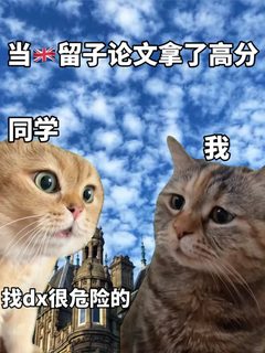 🇬🇧论文80+原来也不难！