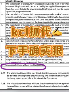 KCL的同学请自己写作业！！不然捞你很麻烦