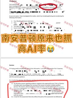 南安普顿查ai准不准啊❓42%AI率咋办啊….
