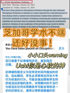 芝加哥大学cheating…差点学术bu端！