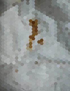 在伦敦vita公寓养蛆，已提前退租(2)
