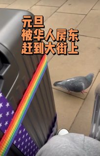 1、元旦遭华人房东驱逐？！一招维权拿回押金😡 2、英国留学生避坑指南：这样退租押金秒退💥 …