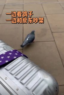元旦当天，被伦敦华人房东踢出公寓(1)