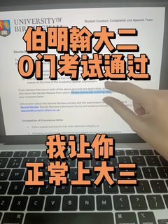 伯明翰大二全挂，小作文打不动流程