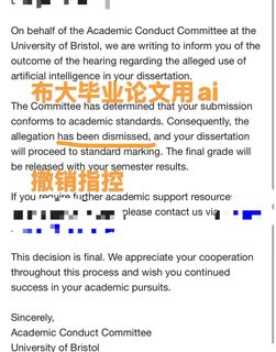 布大毕业论文学术不端，听证会就在这两天