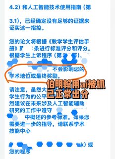伯明翰小留用ai写毕论，听证会后正常出分