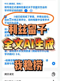 利兹小留论文全部ai生成，听证会半小时速通