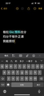 格拉GIC均分不够，焦虑不算方案
