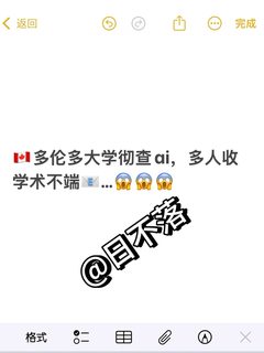 多大总有大胆奴才不听劝，非要用ai写paper