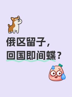 俄罗斯跳板梦，回国后先撞就业墙