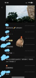 会计读不下去，硬熬只会耗掉学籍