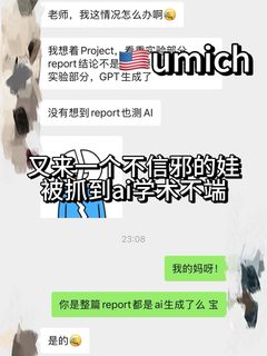 UMich AI指控卡在参与边界