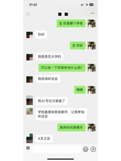 AI润色也能进听证会