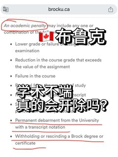 布鲁克小抄案关键在使用证据