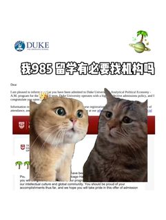 C9找机构，买的是判断精度