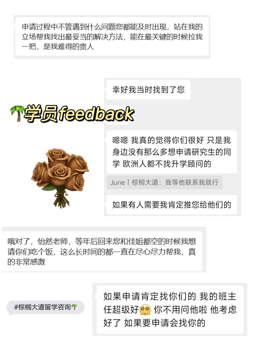 耶鲁全奖MPP拼的是经历可信度 · 图文图片