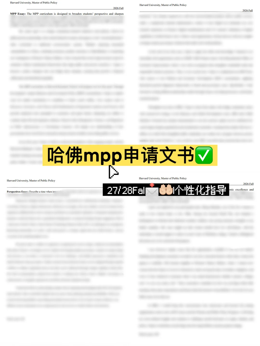 哈佛MPP不吃空泛理想叙事 · 图文图片
