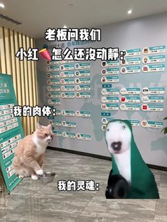 顶校申请，粗糙材料碰瓷不了