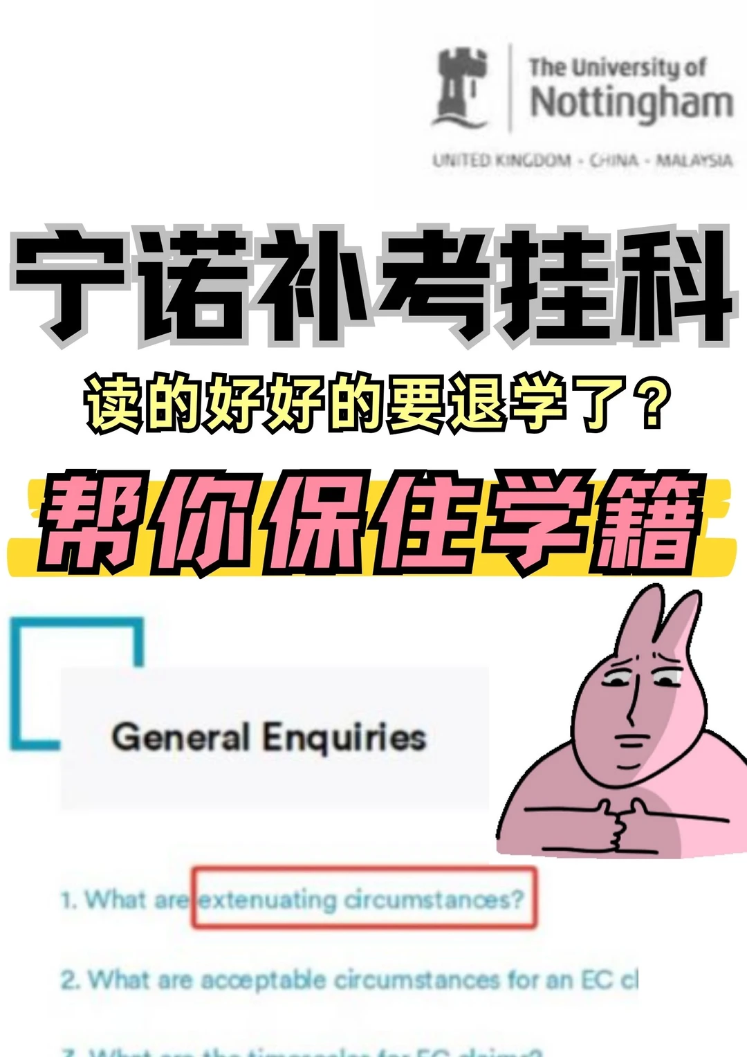 宁诺meeting可能先摆结果 · 图文图片