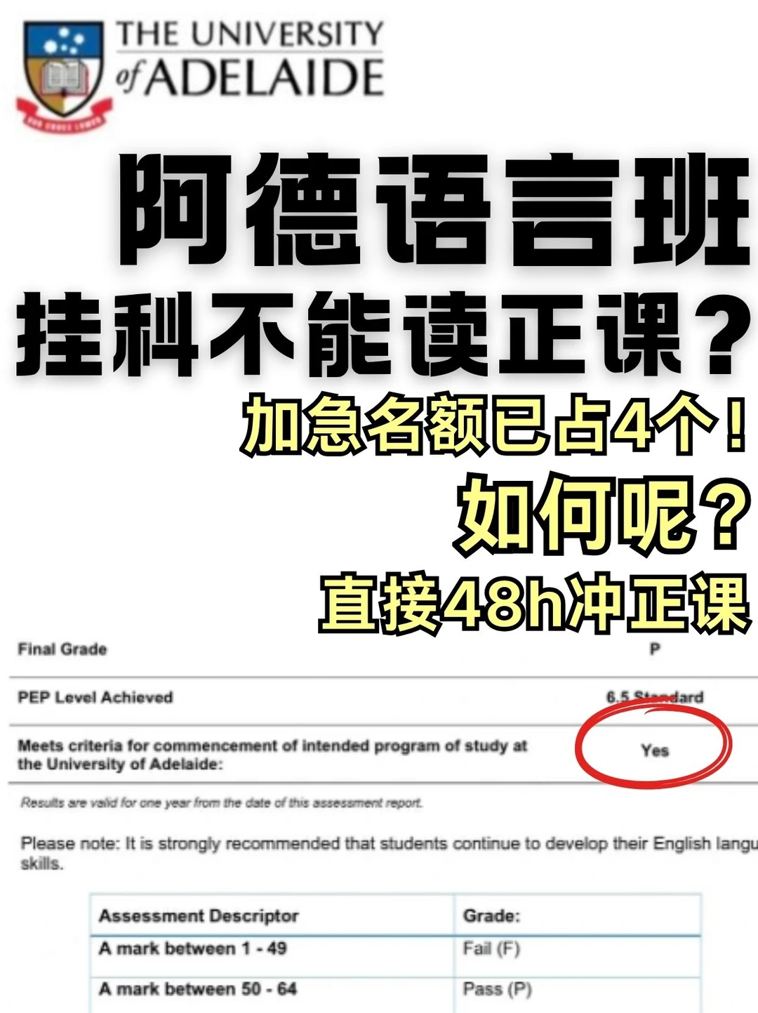 阿德语言班挂科学校不会等人 · 封面图片