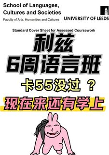 刚出分！🌰6周语言班挂的直接来！我帮你(1)