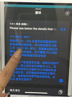 ucl语言argue！末班车又捞5个～想要uncon的来(4)