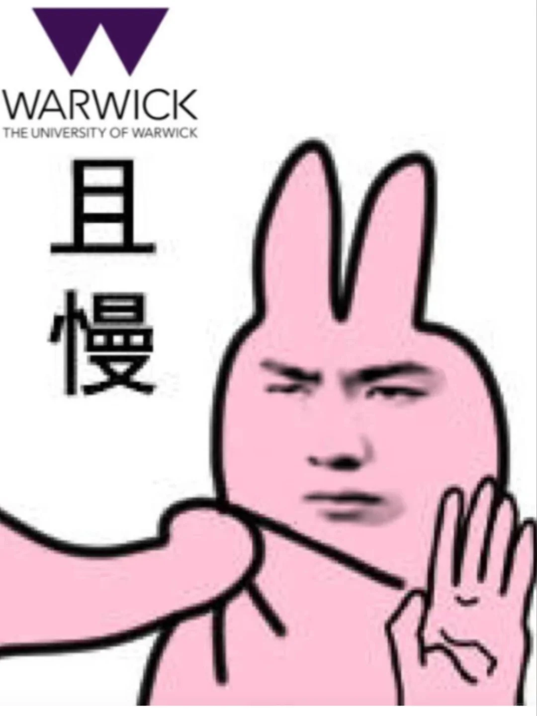 华威论文49分会撞上入职线 · 封面图片