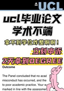 ucl毕业论文真的会学术不端啊！degree咋整