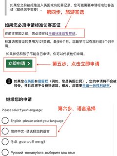 英国签证线上申请攻略（完整详细版）(3)