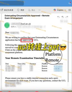 替你们试过了，UCL final真的能转线上考！