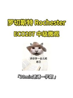 Rochester 线下final如何拿高分❓