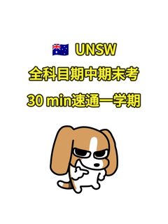 unsw一开学所有作业都吻了上来❓