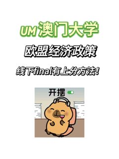 UM澳门大学线下final现在开始冲分❗