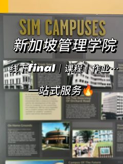 SIM 1v1留学辅导 我躺好了😲